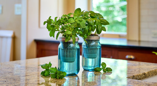 deal banner image_11